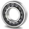 30 mm x 62 mm x 16 mm D1 SNR NU.206.E.G15 Single row Cylindrical roller bearing